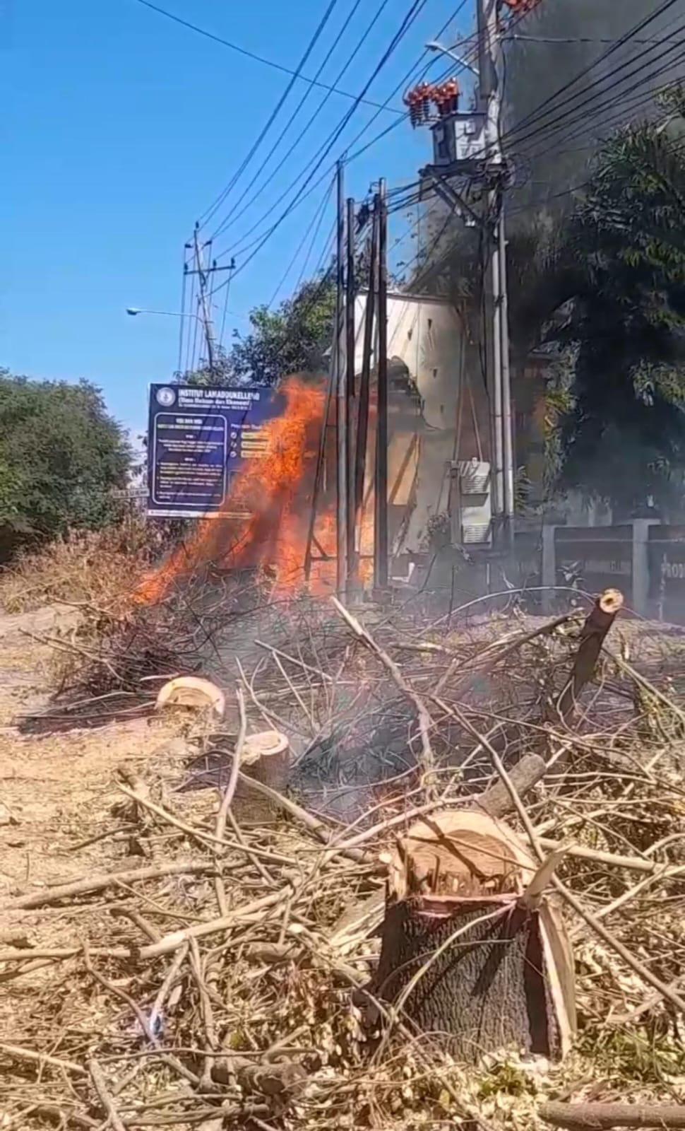 MATA ALAM dan DLH Desak PLN Bertanggung Jawab atas Kebakaran di Depan Kampus Lamaddukkelleng