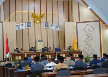 Rekomendasi Paripurna DPRD Wajo Disorot, Aktivis Sebut Banyak Temuan RDP Tak Diakomodir