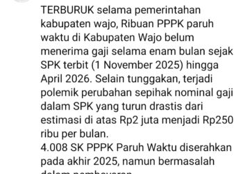 VIRAL! Netizen:HARDIKNAS WAJO mencetak rekor terburuk. Ribuan PPPK paruh waktu belum menerima gaji sepenuhnya
