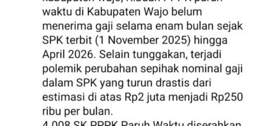 VIRAL! Netizen:HARDIKNAS WAJO mencetak rekor terburuk. Ribuan PPPK paruh waktu belum menerima gaji sepenuhnya