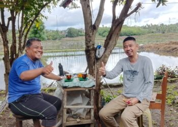 Wajo Green Pest, Inovasi Staf DLH Ubah Limbah Ubi Kayu Jadi Anti Rayap Bernilai Guna