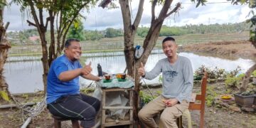 Wajo Green Pest, Inovasi Staf DLH Ubah Limbah Ubi Kayu Jadi Anti Rayap Bernilai Guna