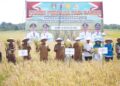 Listrik Sawah Bantu Petani Hadapi Kemarau, Andi Rosman Hadiri Panen Perdana di Tanasitolo