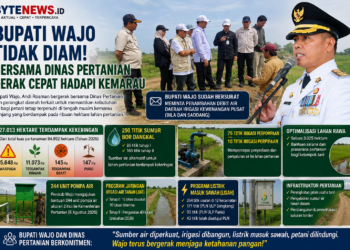 Hadapi Kemarau, Bupati Wajo Andi Rosman Tak Tinggal Diam: Gerakkan Dinas Pertanian, Perkuat Irigasi hingga Minta Tambahan Debit Air