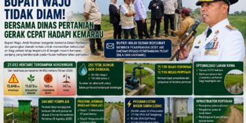 Hadapi Kemarau, Bupati Wajo Andi Rosman Tak Tinggal Diam: Gerakkan Dinas Pertanian, Perkuat Irigasi hingga Minta Tambahan Debit Air