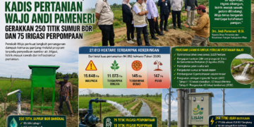 Hadapi Kemarau Panjang, Kadis Pertanian Wajo Andi Pameneri Gerakkan 250 Titik Sumur Bor dan 75 Irigasi Perpompaan